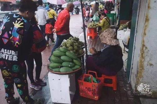 南宁校园吃瓜事件视频,一场网络热议的校园风波揭秘