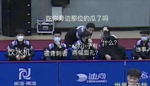 乒乓队员集体吃瓜视频,欢乐瞬间，展现团队风采