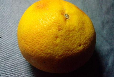 西柚蜜瓜怎么吃才好吃视频,视频教你轻松解锁口感新境界